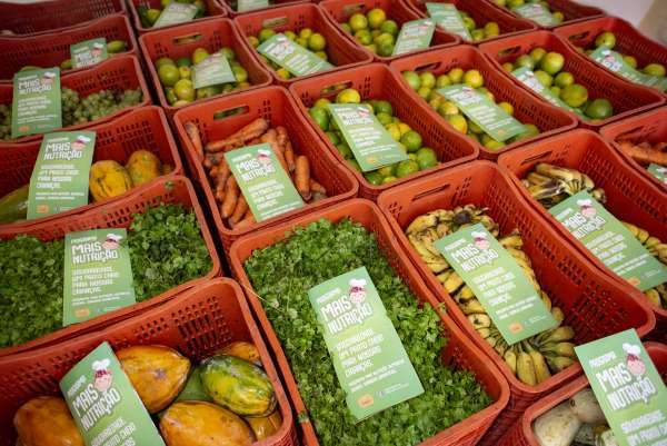 Governo do Ceará doa cerca de 1,5 tonelada de alimentos para Tamboril