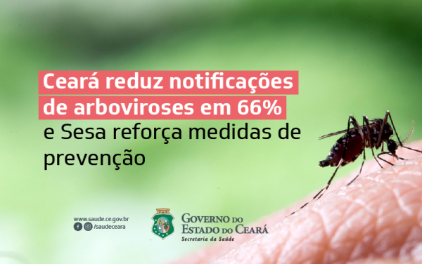 Prevenção contra dengue, zika e chikungunya reduz fluxo nas unidades de saúde
