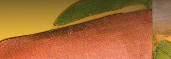 Colagem e natureza são o tema do próximo Entre Telas Artes Visuais