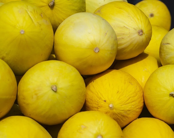 IDT oferta 1.600 vagas temporárias em Morada Nova; Unidade Móvel fará mobilização em municípios próximos