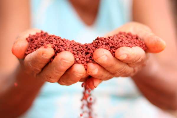 Programa prevê distribuição de 1,61 bilhão de toneladas de alimentos até setembro