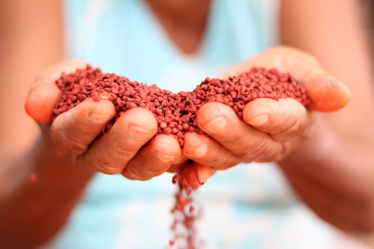 Programa prevê distribuição de 1,61 bilhão de toneladas de alimentos até setembro