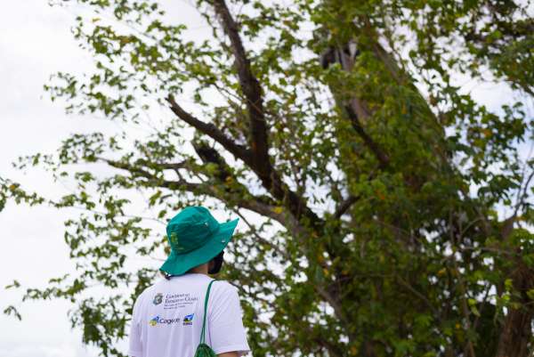 Sema divulga resultado preliminar da seleção para o Programa Agente Jovem Ambiental (AJA)