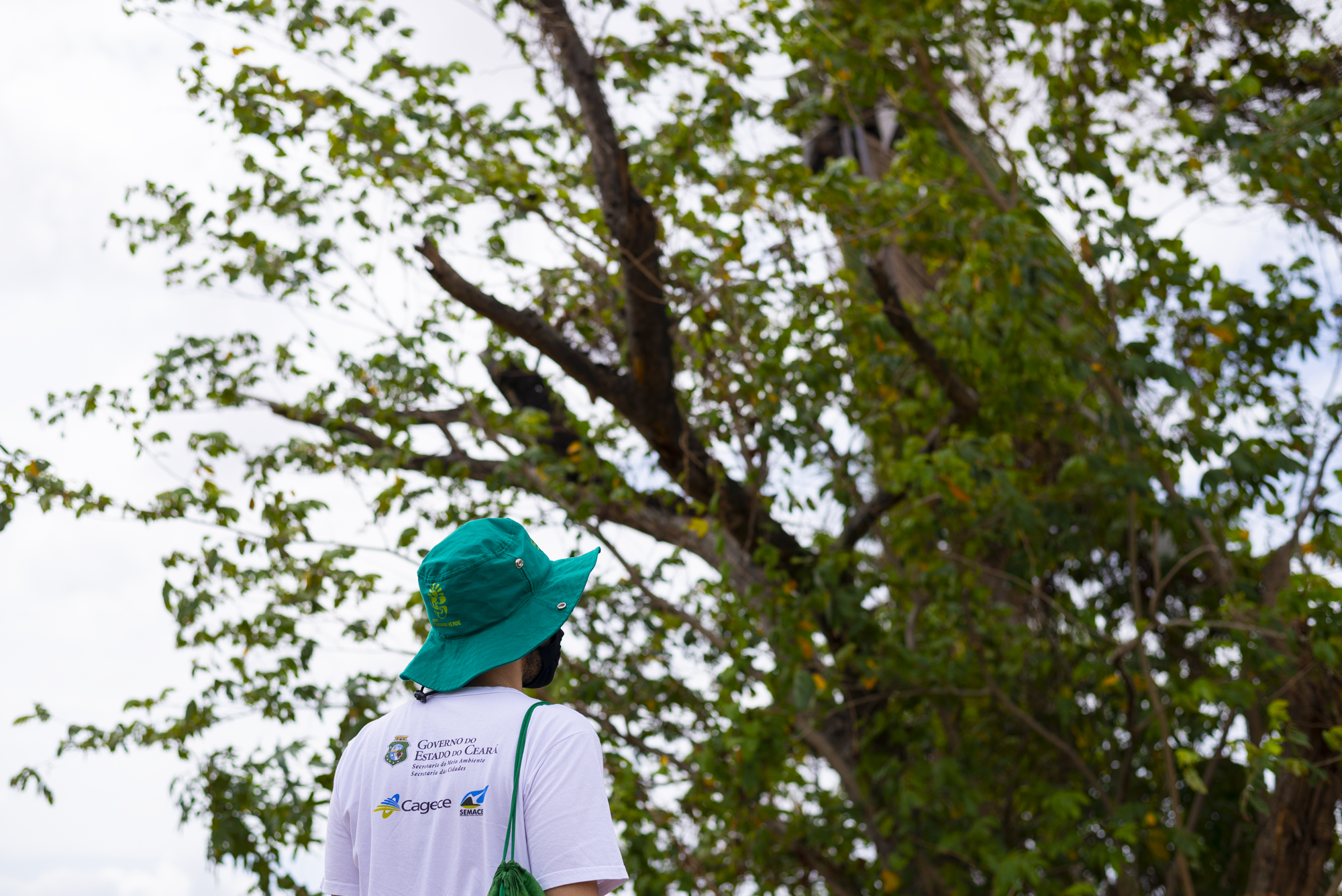 Sema divulga resultado preliminar da seleção para o Programa Agente Jovem Ambiental (AJA)