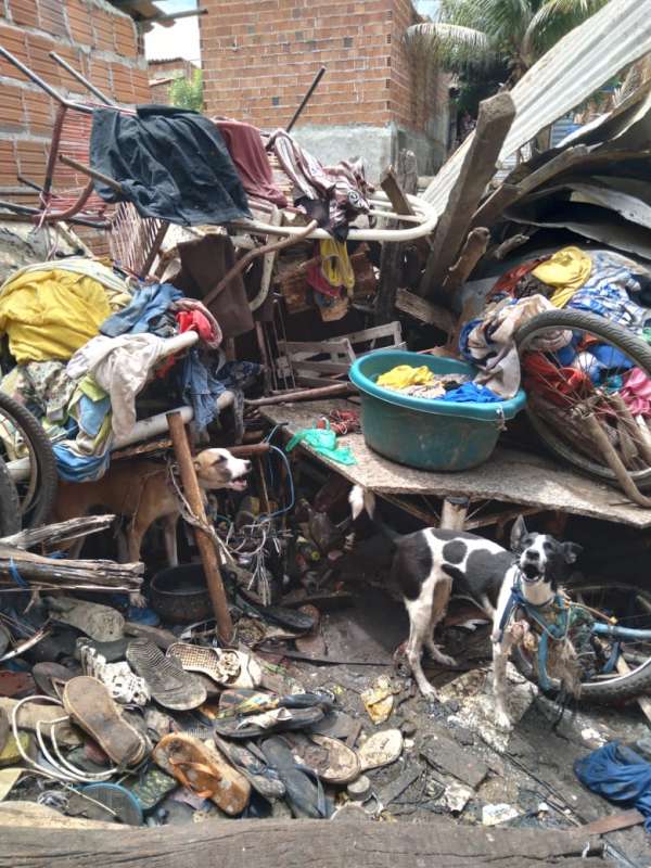 Polícia Militar resgata animais em situação de maus-tratos em Juazeiro do Norte