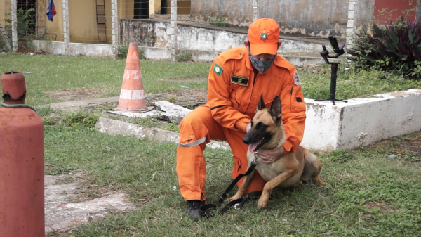 Heróis de quatro patas em destaque nas forças da segurança pública do Estado