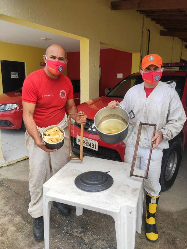 Corpo de Bombeiros orienta população como lidar com ataque de abelhas