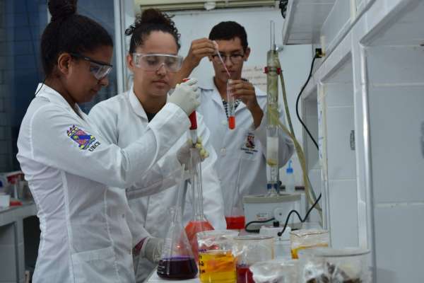 Uece está entre as 100 melhores do mundo e as 5 melhores do Brasil no ranking Educação de Qualidade