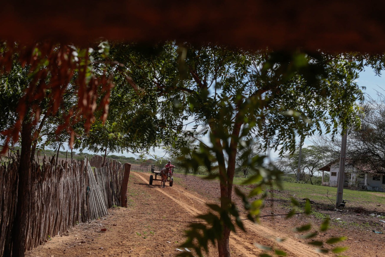 Cadastro Ambiental Rural: Ceará contabiliza quase 300 mil inscrições no Sicar