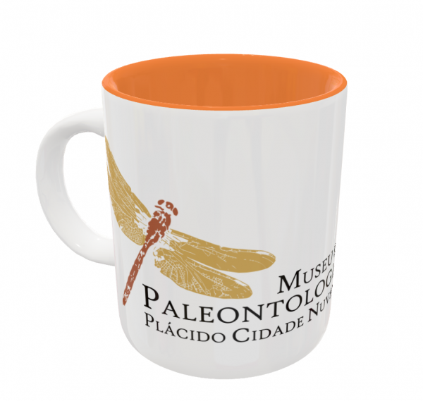 Museu de Paleontologia Plácido Cidade Nuvens lança loja virtual