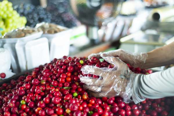 Preço da acerola cai -44,4% e fruta é vendida a R$ 2/kg na Ceasa Cariri