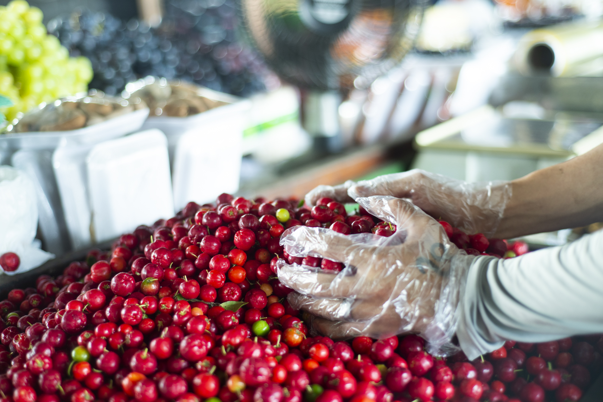 Preço da acerola cai -44,4% e fruta é vendida a R$ 2/kg na Ceasa Cariri