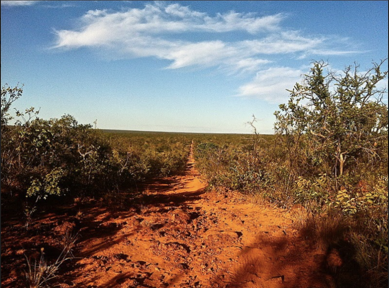 Mostra de Artes do Porto Iracema (MOPI) traz pitching virtual de roteiros no próximo sábado (29)