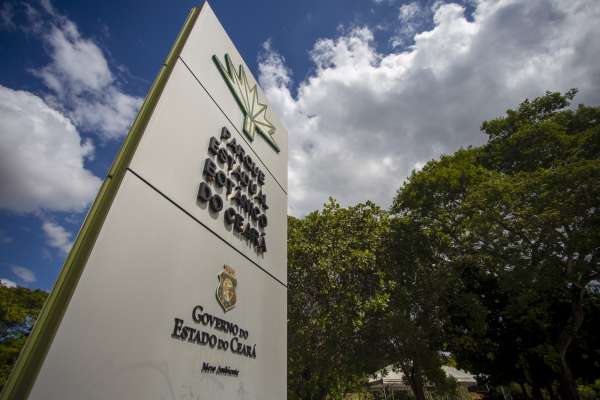 Ceará Sustentável: Parque Botânico do Ceará produz e distribui cerca de 120 mil mudas nativas por ano