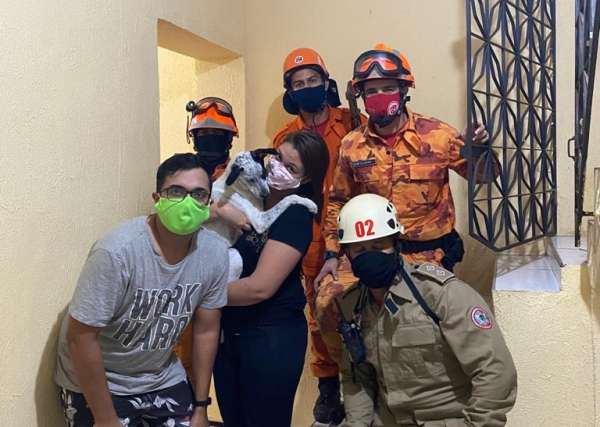 Bombeiros resgatam cadelinha que estava presa em portão de residência no bairro Damas