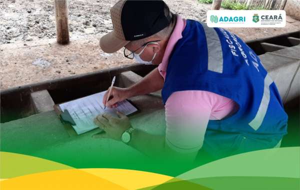 Criadores com pendências no Cadastro Agropecuário da Adagri podem se regularizar até segunda-feira (17)