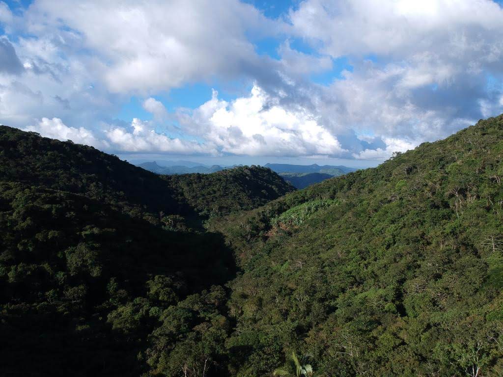 Sema promove programação virtual no Dia da Mata Atlântica