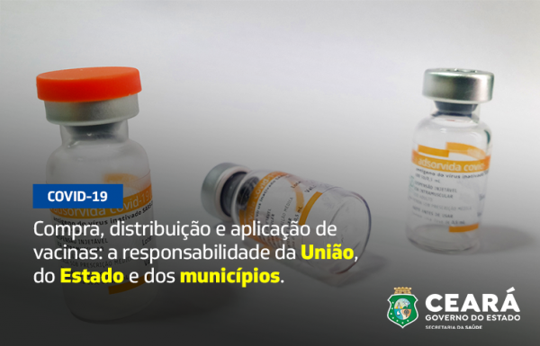 Campanha de Vacinação contra a Covid-19: saiba o que compete aos governos federal, estadual e municipal