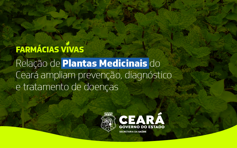 Ceará tem 30 espécies de plantas medicinais nas Farmácias Vivas