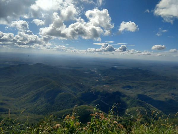 No Dia da Mata Atlântica, Sema realiza evento virtual destacando a importância da preservação do bioma