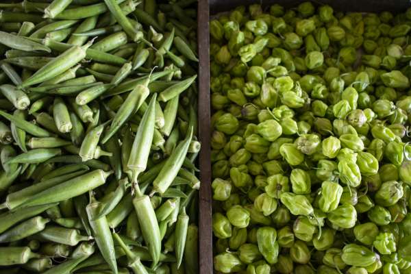 Quiabo e pimenta de cheiro com queda de preço na Ceasa Tianguá