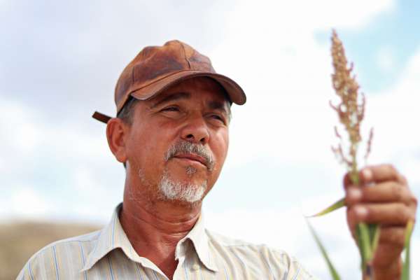 Transformação do Programa Hora de Plantar em Política Pública de Estado e atualização do Fedaf são aprovadas na Assembleia