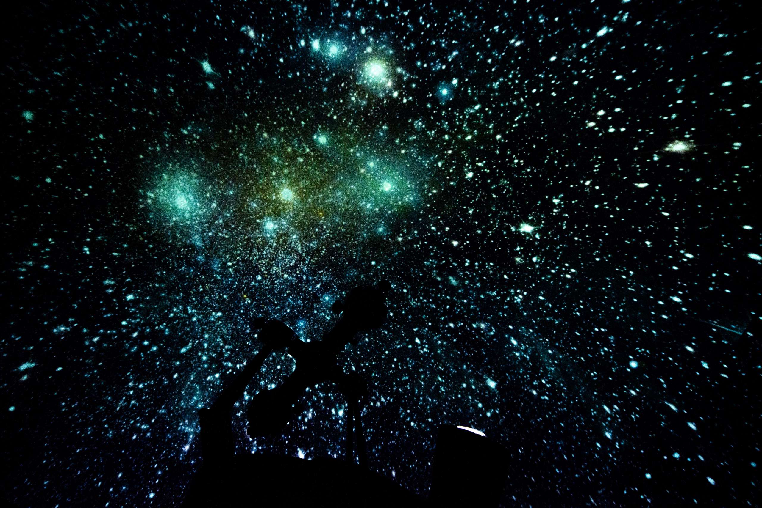 Dragão do Mar divulga a programação virtual de 7 a 13 de junho