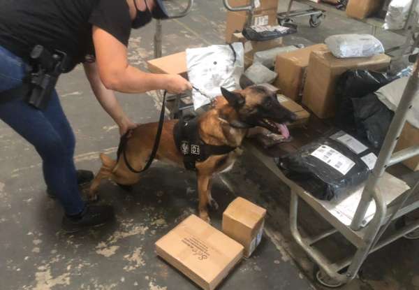 Com ajuda de cão farejador, PCCE apreende entorpecentes escondidos em pacote com brinquedo