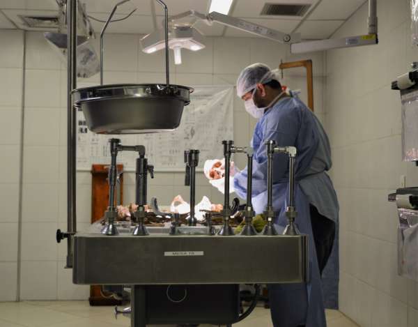 Médico perito legista: a medicina que trata da Segurança Pública e da Justiça