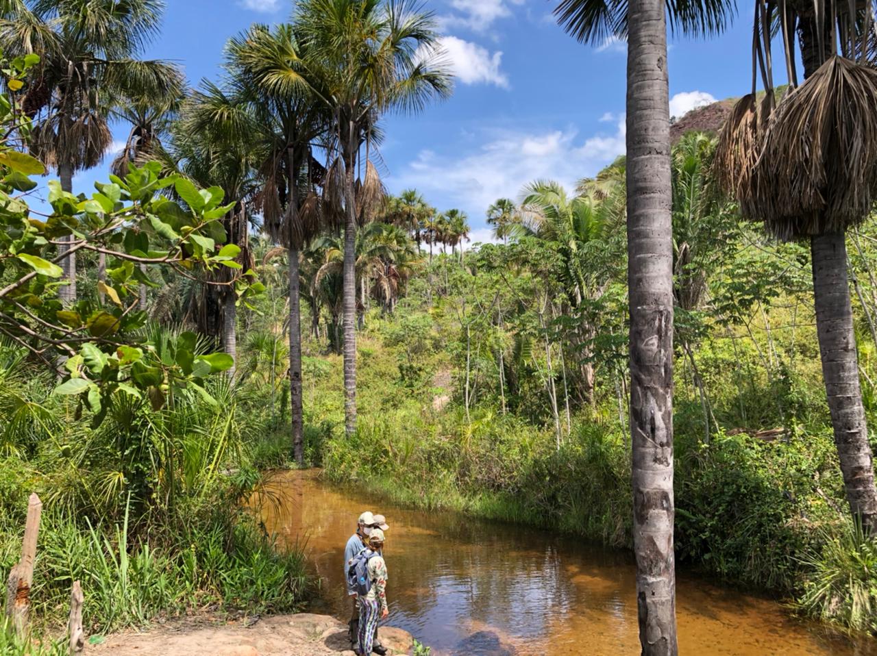 Sema certifica a RPPN Buritis Águas Naturais, a 39ª reserva de caráter privado do Estado