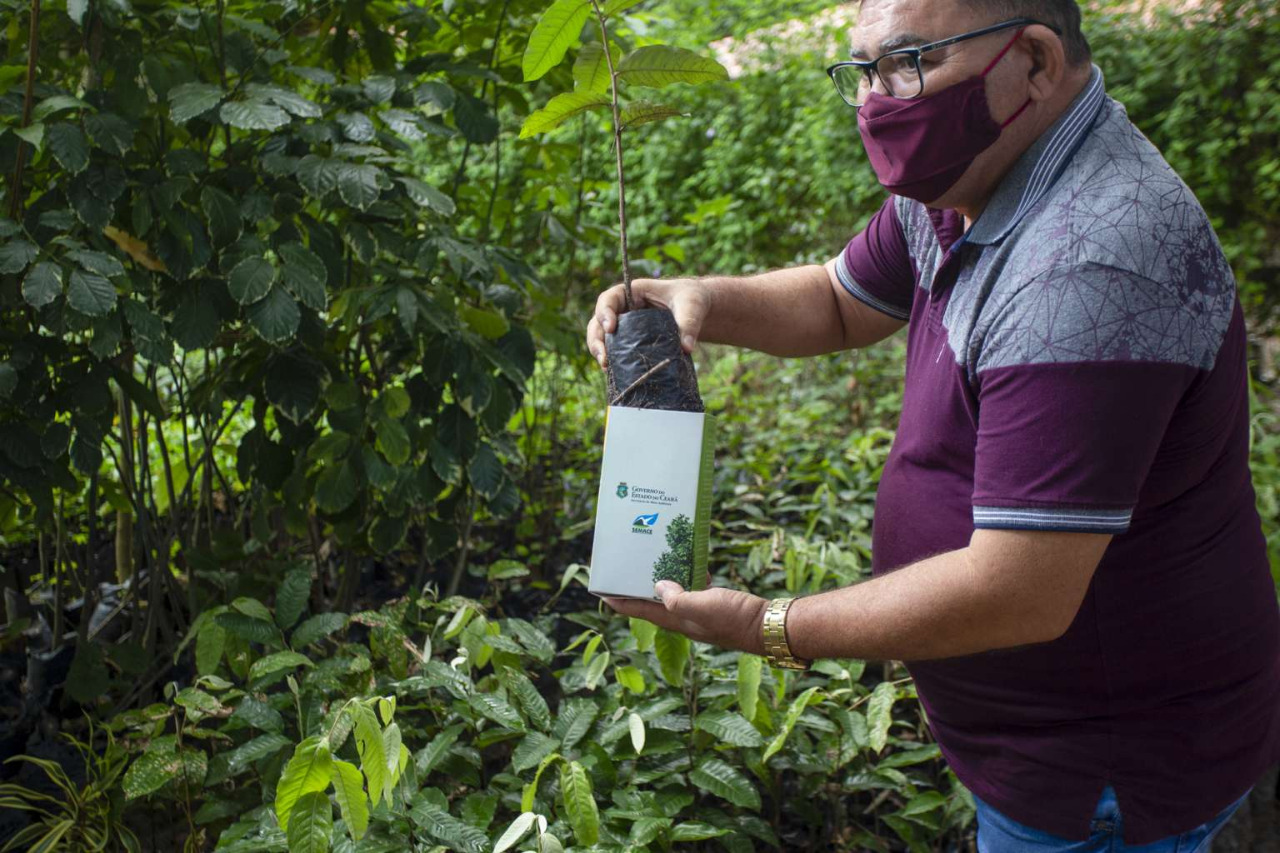 Sema encerra Junho Ambiental com amor e troca mudas por alimentos e rações