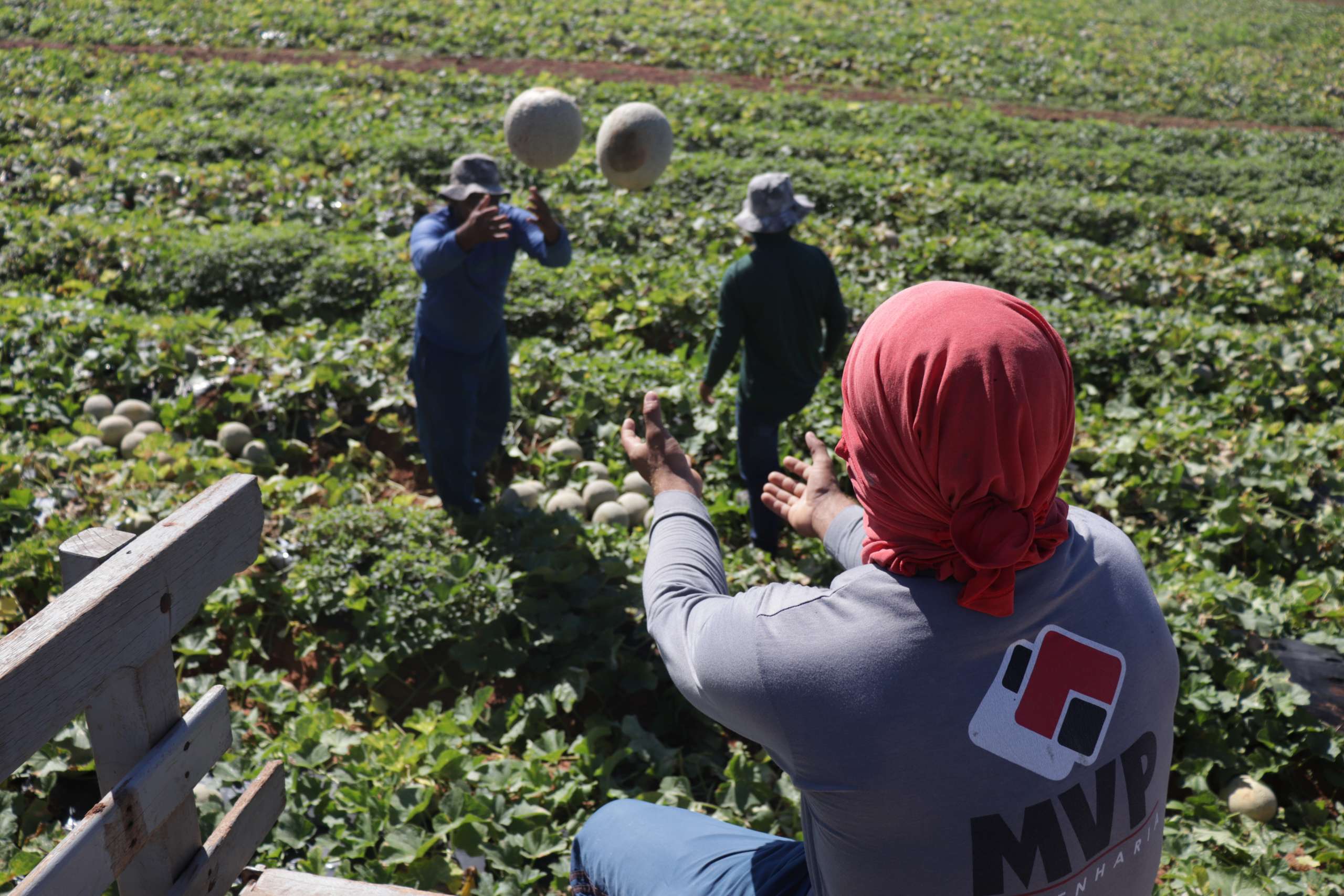 Divulgada entidades classificadas para terceira fase do edital de acesso ao mercado