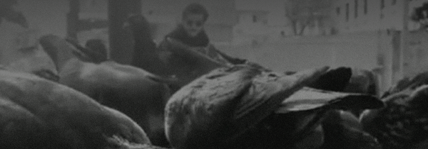 Nesta quinta (1), Os Pícaros Incorrigíveis apresentam espetáculo virtual Pagode Russo