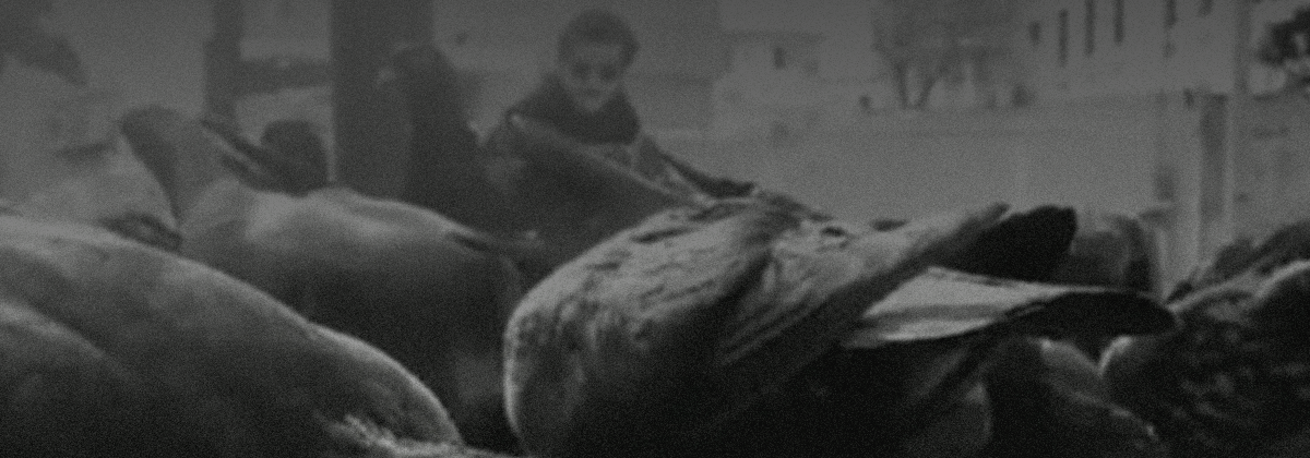 Nesta quinta (1), Os Pícaros Incorrigíveis apresentam espetáculo virtual Pagode Russo