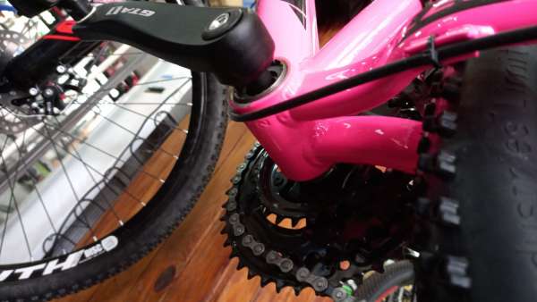 Delegacia Eletrônica: Saiba como incluir o número de série da sua bicicleta em caso de roubo ou furto