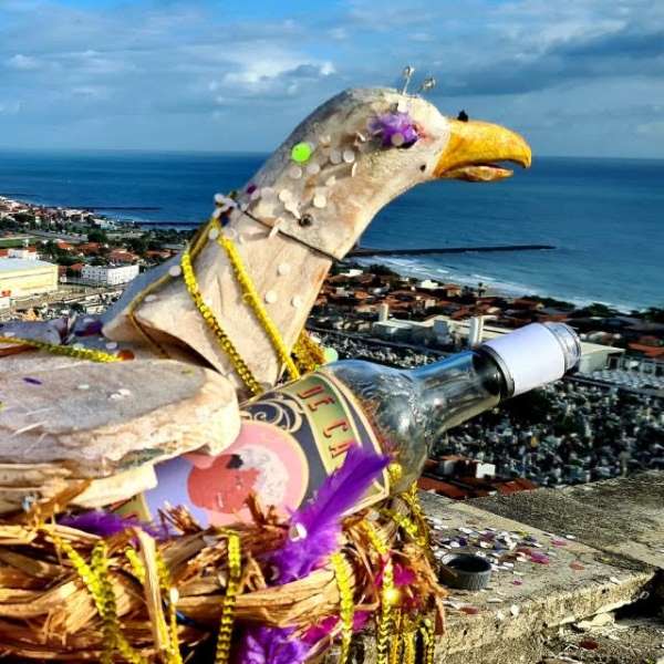 “Zona de Criação” abre nova temporada 2021/2022 de programas e conteúdos do Porto Dragão