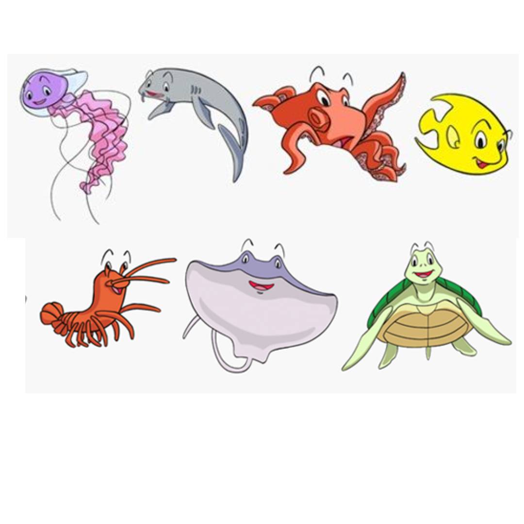 Votação aberta para a escolha do mascote da Década do Oceano no Ceará