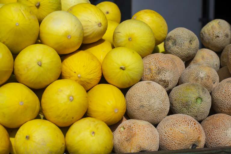 Melão amarelo tem queda de 23,3% na Ceasa do Cariri
