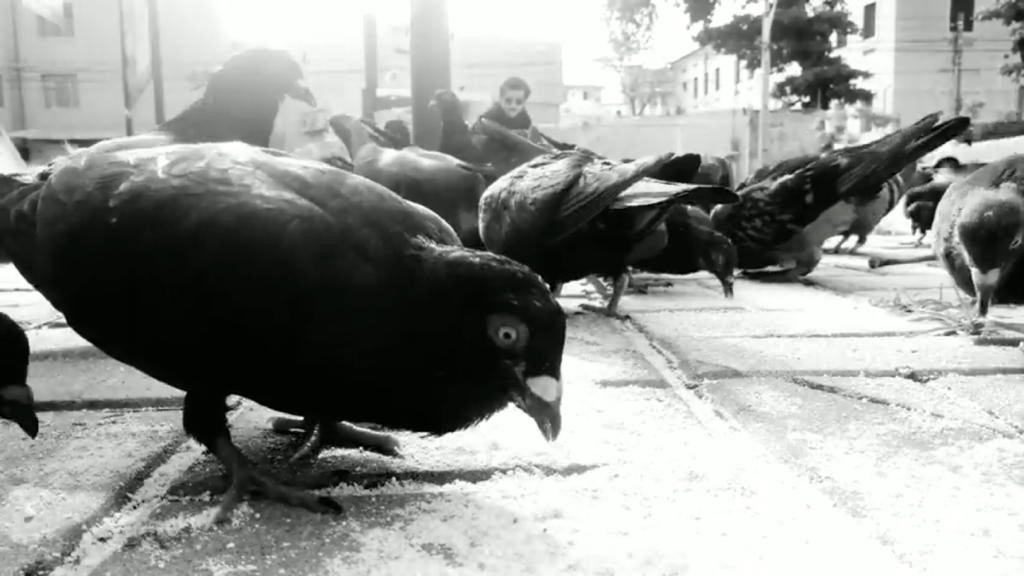 “Anatomia do Espetáculo” debate espetáculo “Pagode Russo”, do coletivo Os Pícaros Incorrigíveis