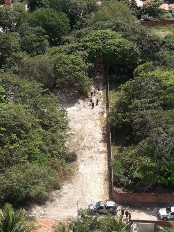 Homem é resgatado pelas Forças de Segurança após sofrer ataque de abelhas em Caucaia