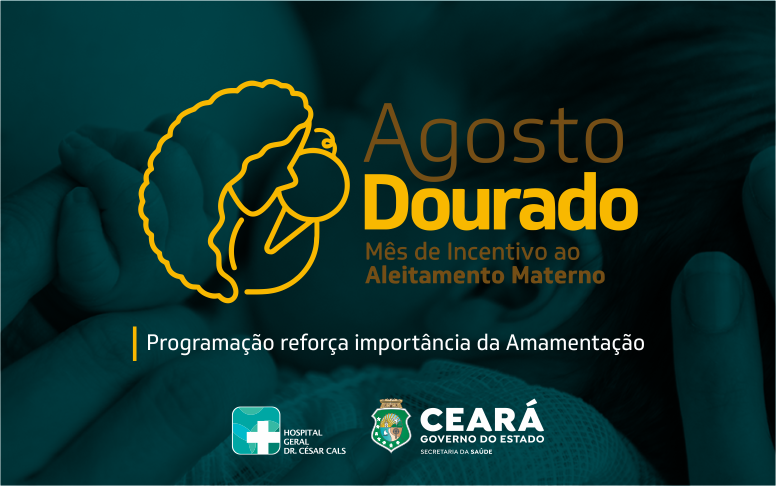 Agosto Dourado: HGCC inicia teleconsulta do Banco de Leite para acompanhar mães em amamentação após alta