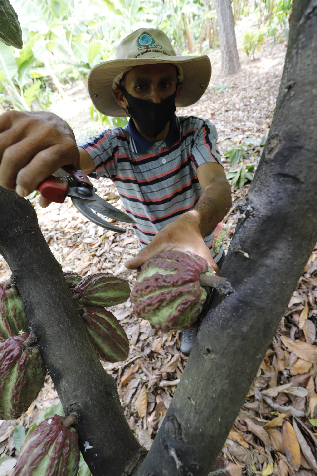 Aprovada criação do Programa Estadual de Apoio Técnico-Financeiro às Escolas Família Agrícola