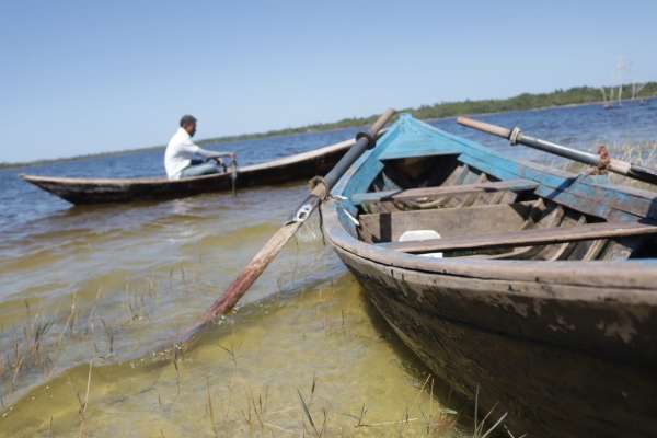 Peixamento dos Reservatórios Públicos distribui 220 mil alevinos nesta semana