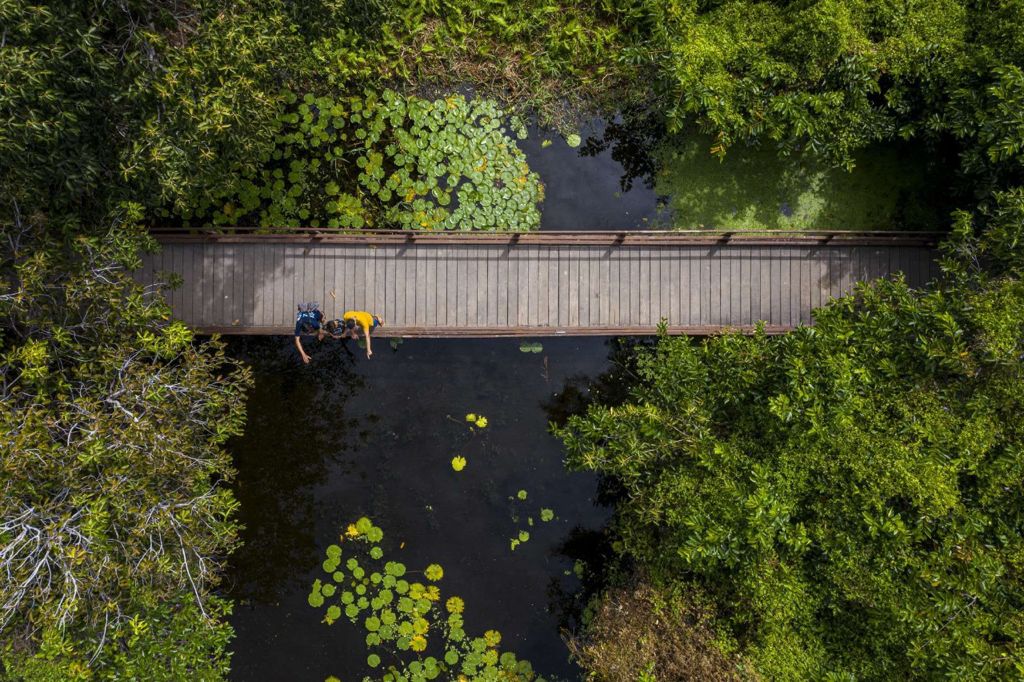Sema convida AJAs para ações no Dia Mundial de Limpeza 2021