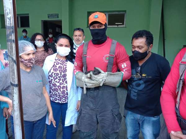 Corpo de Bombeiros resgata filhote de gato preso em tubulação no Centro de Fortaleza