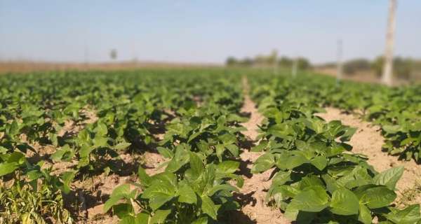 Agricultores familiares de Mauriti são contemplados com projeto de irrigação