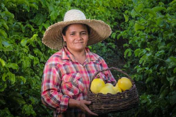 Agente Rural: resultado após a análise curricular será divulgado no dia 11