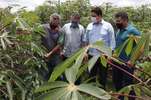 Resultado final do programa Agente Rural será divulgado sexta-feira (22)