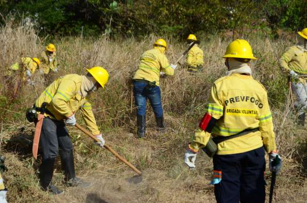 Sema forma primeira turma de brigadistas contratados pelo Governo do Ceará