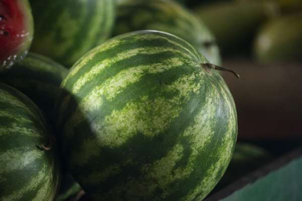 Melancia vendida a R$ 1,20/kg na Ceasa em Maracanaú
